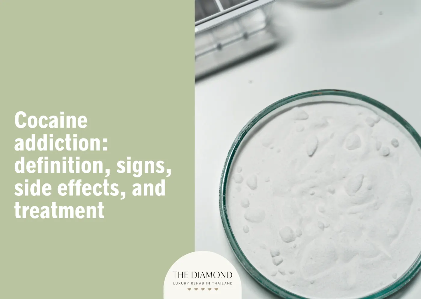 Cocaine Addiction