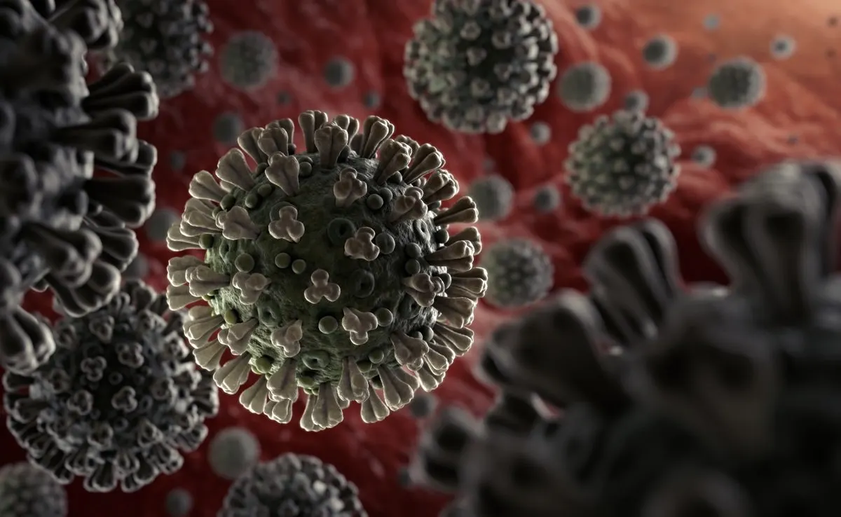 Coronavirus Disease (Covid-19)