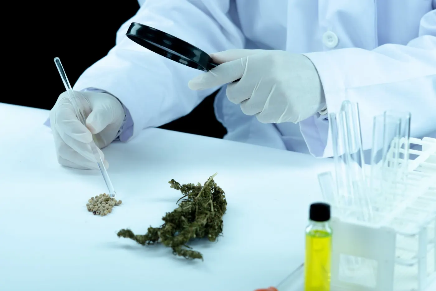 The Hidden Dangers of Long-Term Marijuana Use