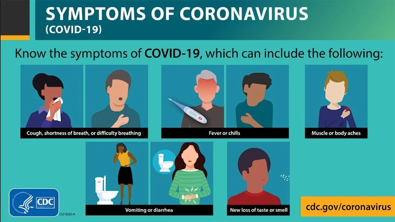 What Are Corona Virus Symptoms and Indicators