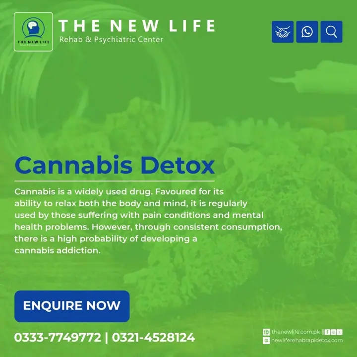 The New Life media — photo 1 of 28