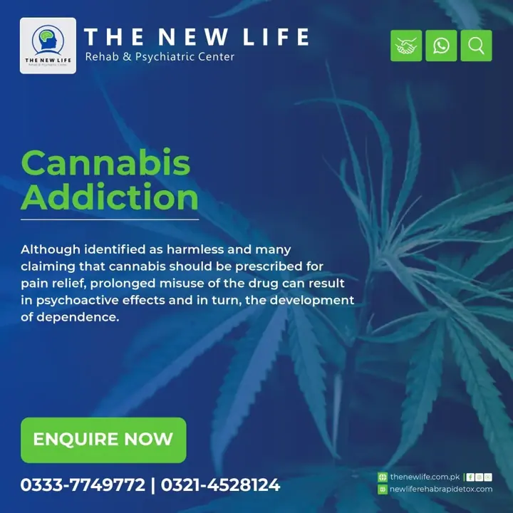 The New Life media — photo 26 of 28